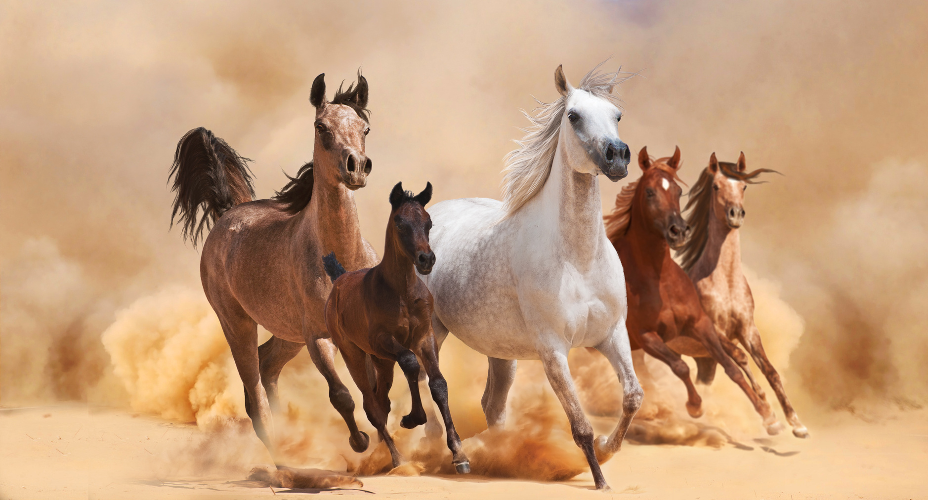 Looking for Faster Horses or RESULTS with Your Online Marketing ...